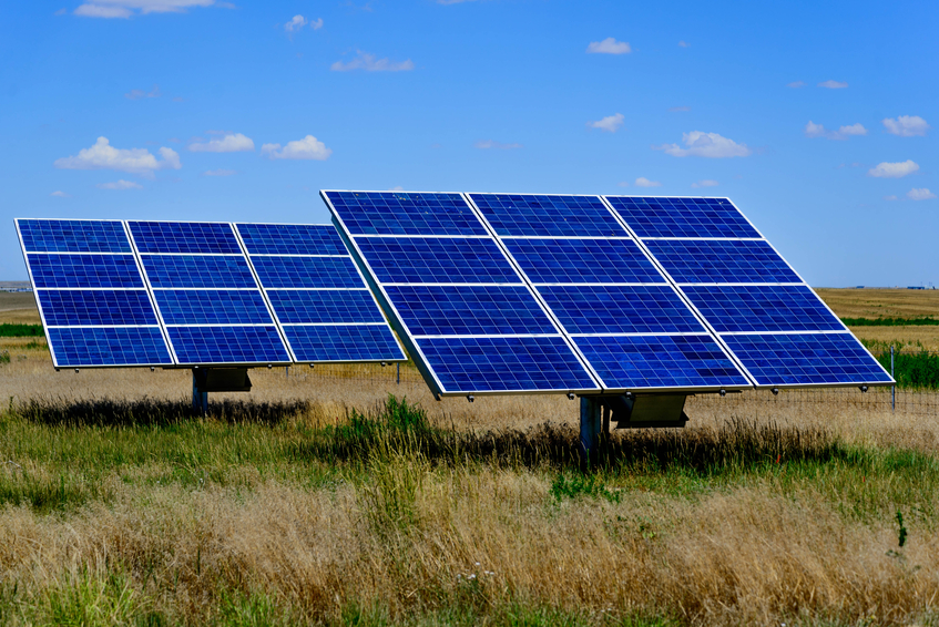 Rows of blue solar panels in a sunlit field, part of a solar farm generating renewable energy.